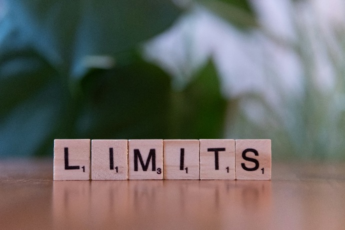 A wooden block spelling the word limits on a table